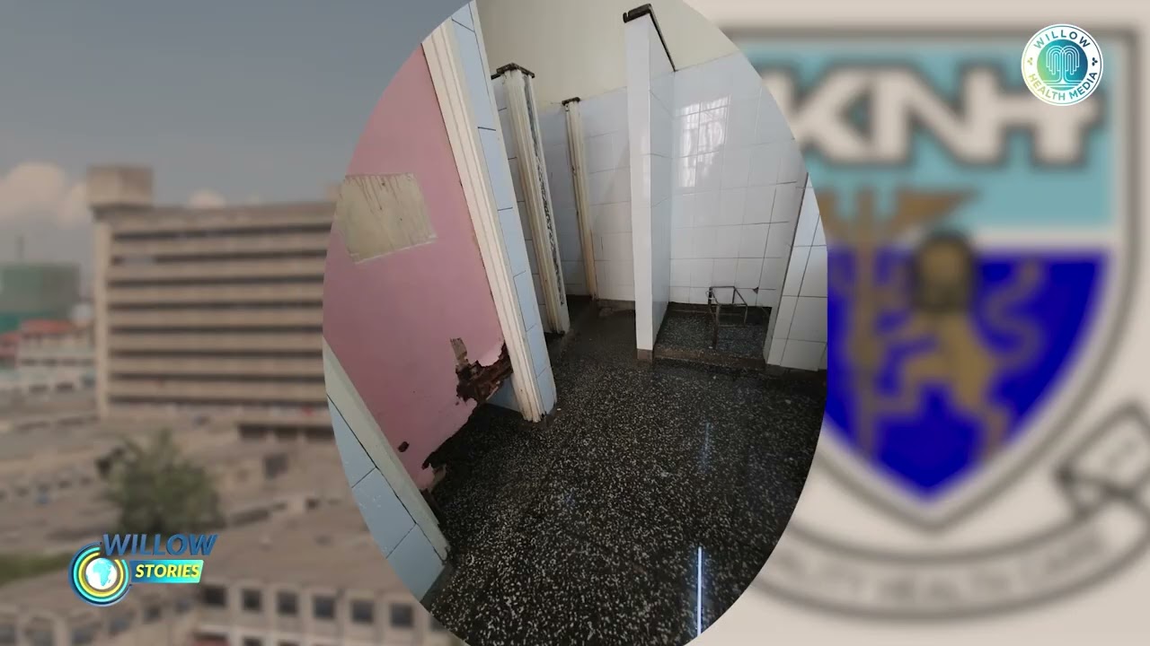 KNH’s Dirty Secret: Why Patients Are Better Off Carrying Own Potty