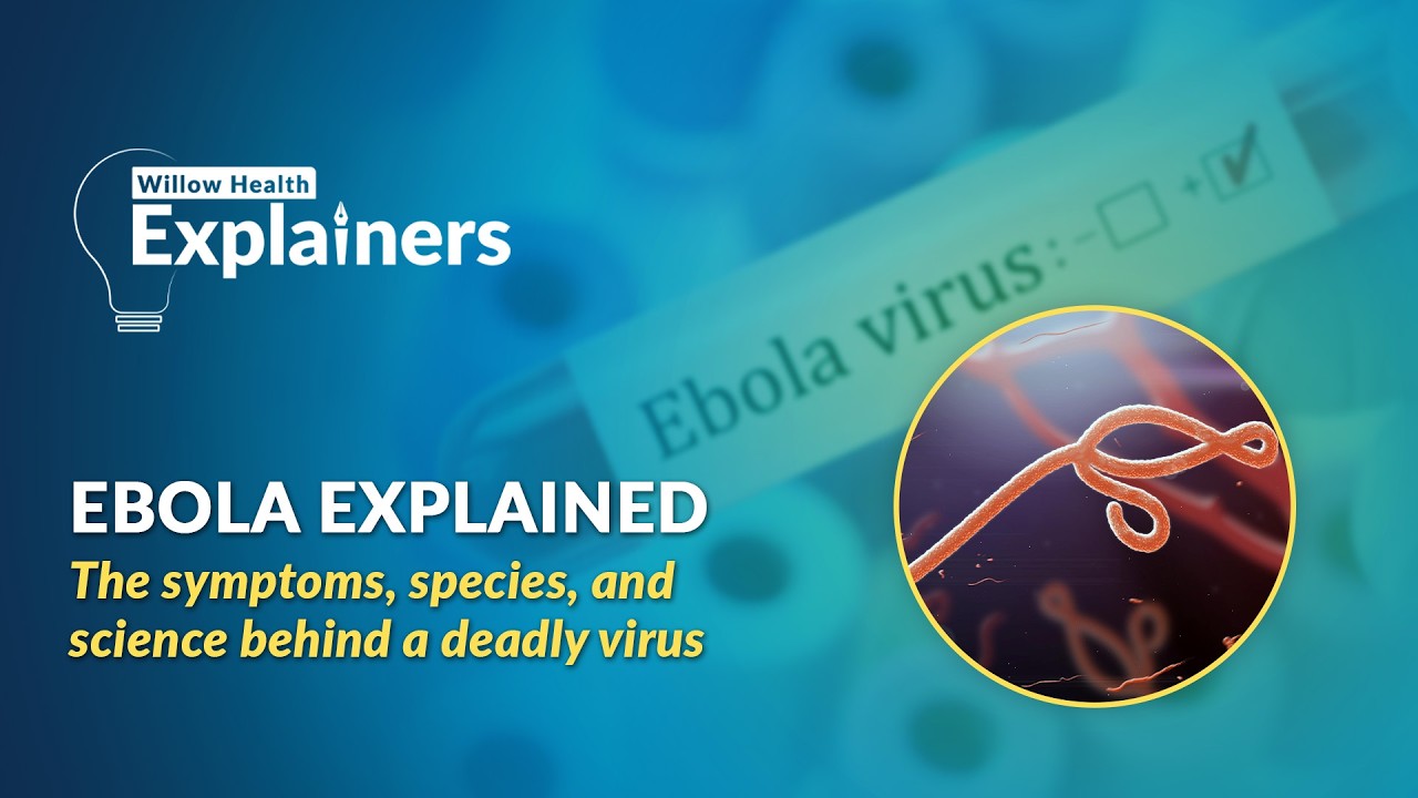 Ebola Explained: How It Spreads, Symptoms, Treatment and Prevention