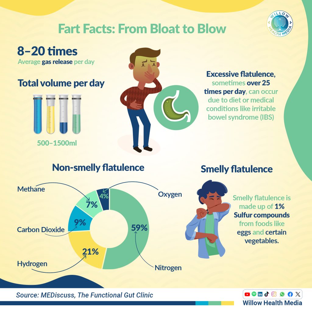 From bloat to blow: The truth about gas – Willow Health Media