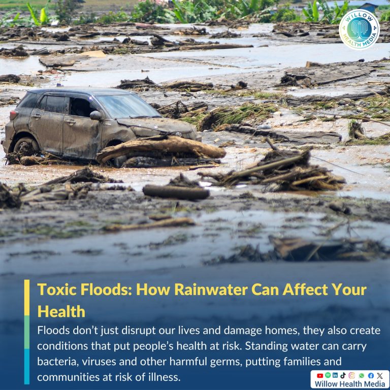 Instagram post from willowhealthmedia. This post is in position 2.