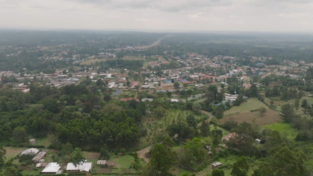 Instagram post from willowhealthmedia. This post is in position 0.