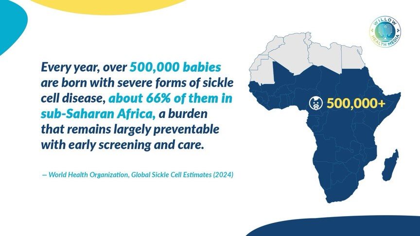 Instagram post from willowhealthmedia. This post is in position 2.