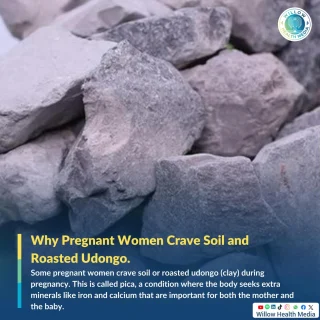 Instagram post from willowhealthmedia. This post is in position 2.