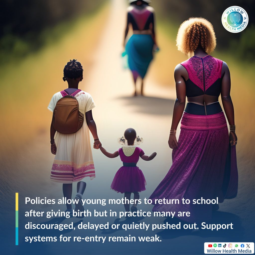 Instagram post from willowhealthmedia. This post is in position 1.