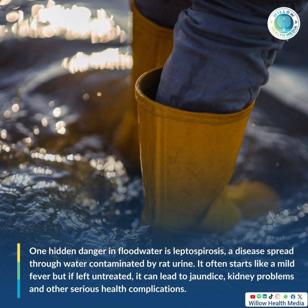 Instagram post from willowhealthmedia. This post is in position 1.