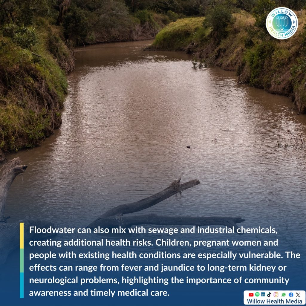 Instagram post from willowhealthmedia. This post is in position 2.